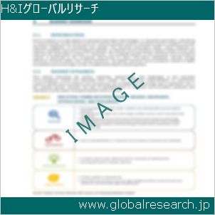 グローバルリサーチ調査レポートのイメージ